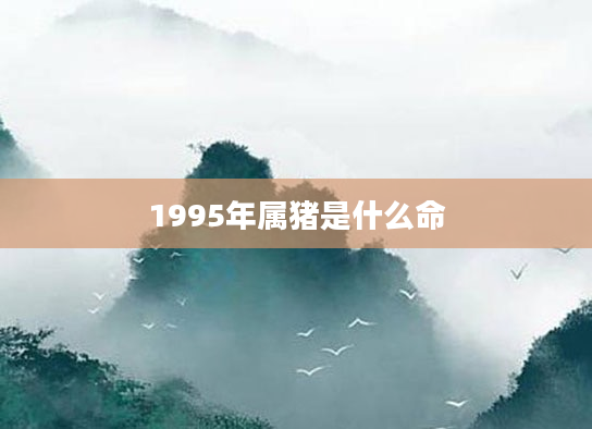 1995年属猪是什么命