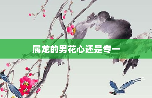 属龙的男花心还是专一