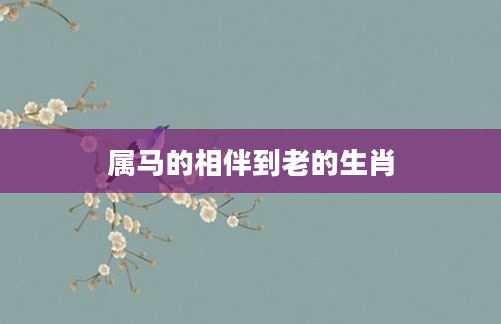 属马的相伴到老的生肖
