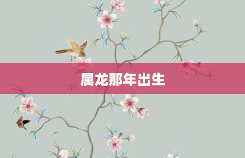 属龙那年出生