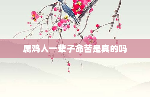 属鸡人一辈子命苦是真的吗