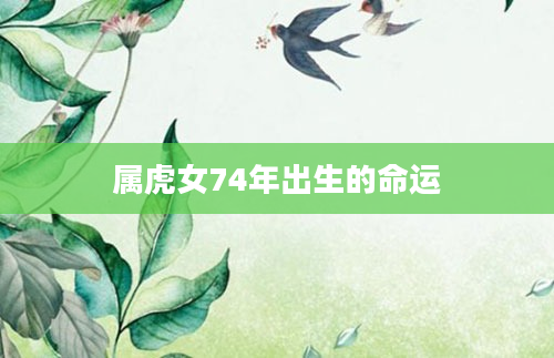 属虎女74年出生的命运