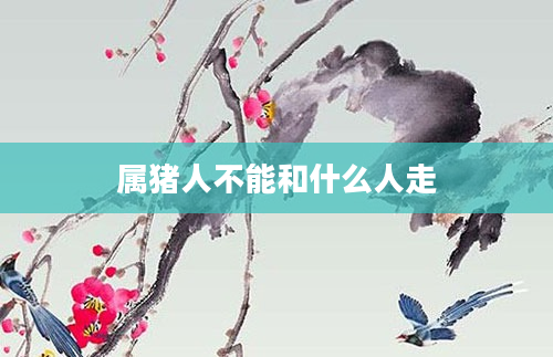 属猪人不能和什么人走