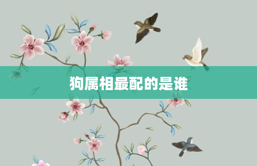 狗属相最配的是谁
