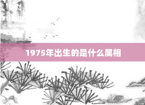 1975年出生的是什么属相