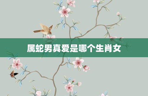属蛇男真爱是哪个生肖女