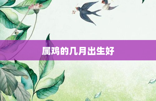 属鸡的几月出生好