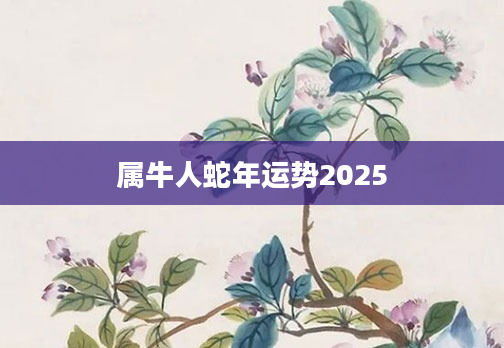 属牛人蛇年运势2025