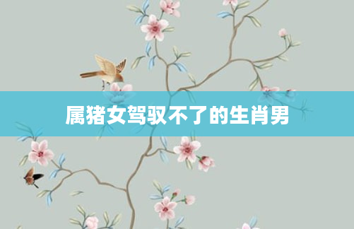 属猪女驾驭不了的生肖男