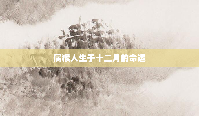 属猴人生于十二月的命运