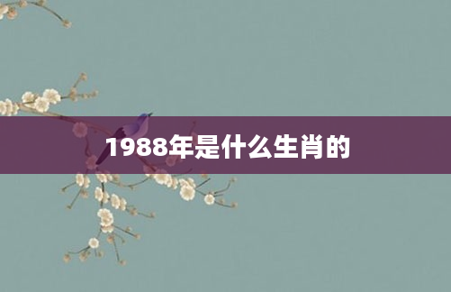 1988年是什么生肖的