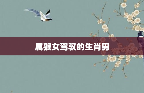 属猴女驾驭的生肖男