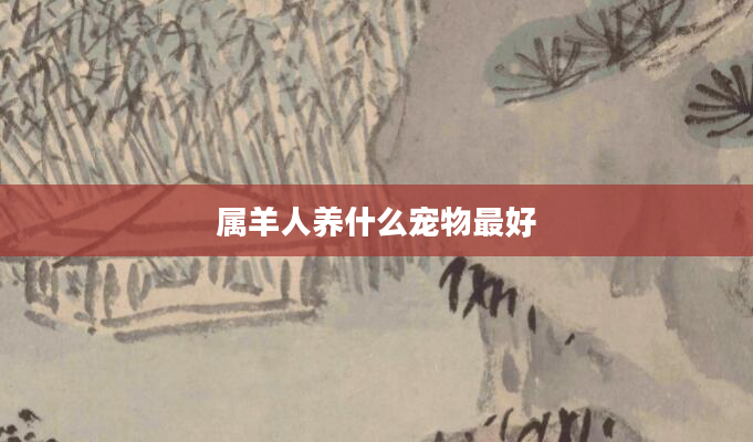属羊人养什么宠物最好