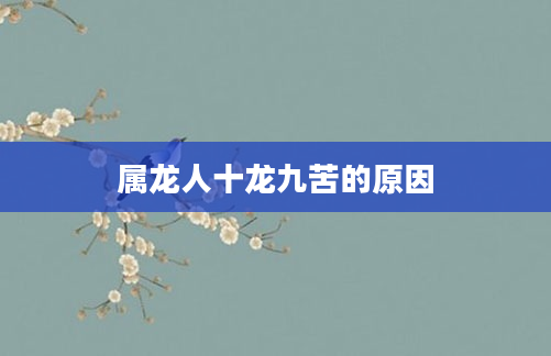 属龙人十龙九苦的原因
