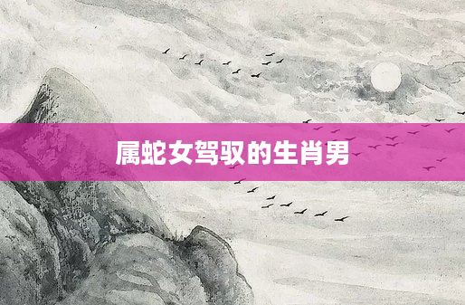 属蛇女驾驭的生肖男