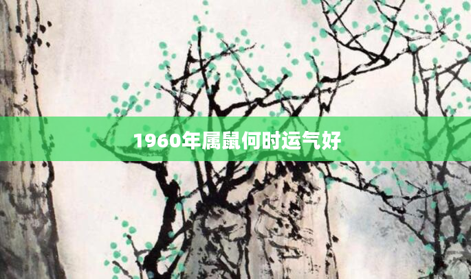 1960年属鼠何时运气好