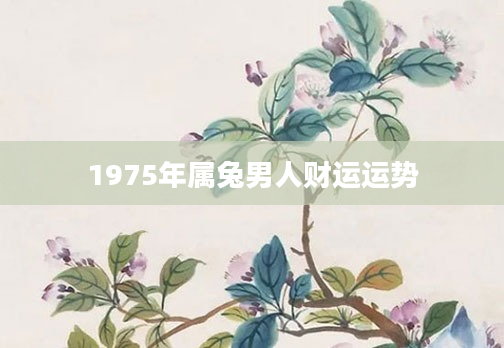 1975年属兔男人财运运势