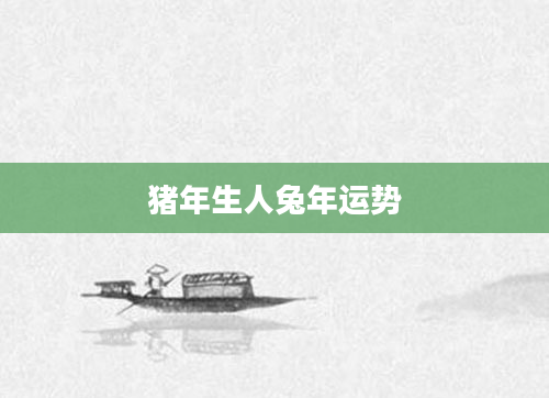 猪年生人兔年运势