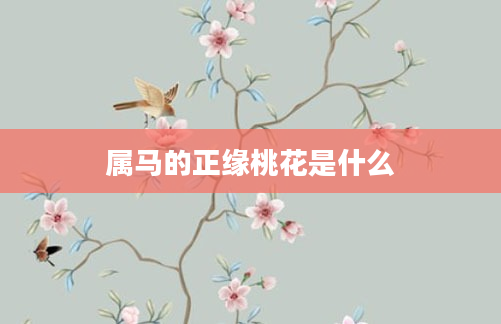 属马的正缘桃花是什么