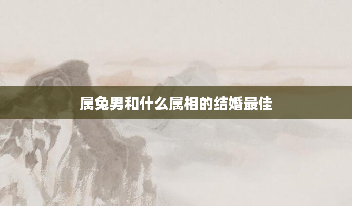 属兔男和什么属相的结婚最佳