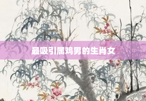 最吸引属鸡男的生肖女