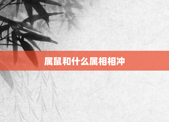 属鼠和什么属相相冲