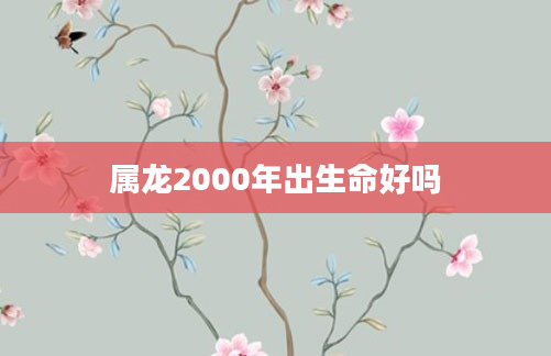 属龙2000年出生命好吗