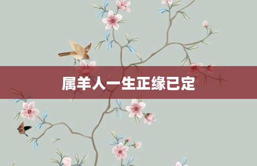属羊人一生正缘已定