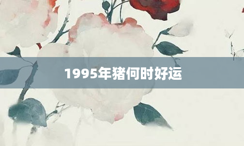 1995年猪何时好运