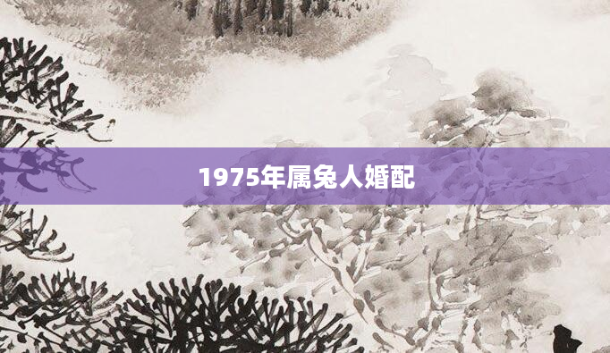 1975年属兔人婚配