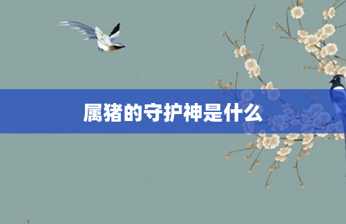 属猪的守护神是什么