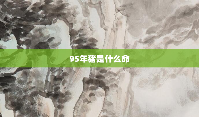 95年猪是什么命