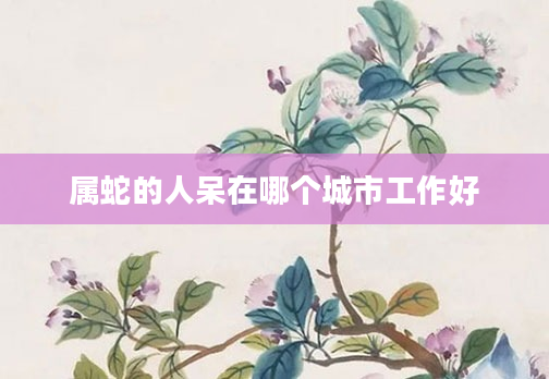 属蛇的人呆在哪个城市工作好