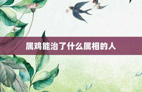 属鸡能治了什么属相的人