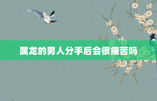 属龙的男人分手后会很痛苦吗