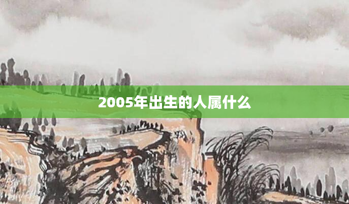 2005年出生的人属什么