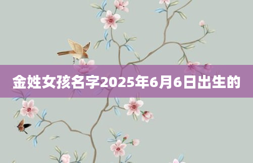 金姓女孩名字2025年6月6日出生的