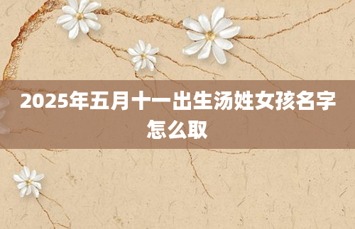 2025年五月十一出生汤姓女孩名字怎么取