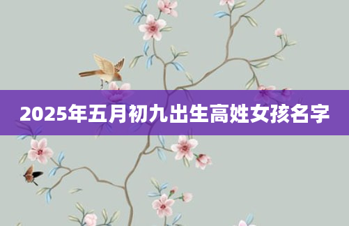 2025年五月初九出生高姓女孩名字