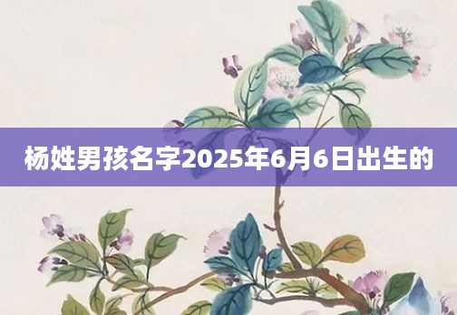 杨姓男孩名字2025年6月6日出生的