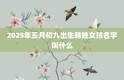 2025年五月初九出生韩姓女孩名字叫什么