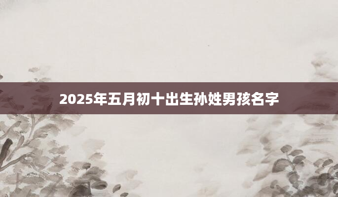 2025年五月初十出生孙姓男孩名字