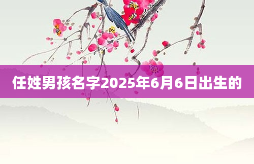 任姓男孩名字2025年6月6日出生的