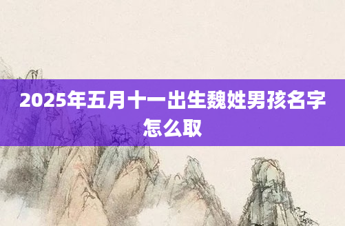 2025年五月十一出生魏姓男孩名字怎么取