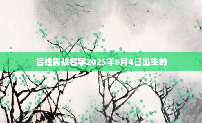 吕姓男孩名字2025年6月4日出生的