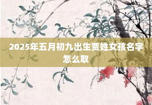2025年五月初九出生贾姓女孩名字怎么取