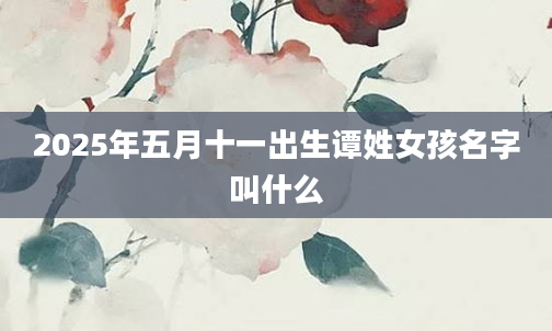 2025年五月十一出生谭姓女孩名字叫什么