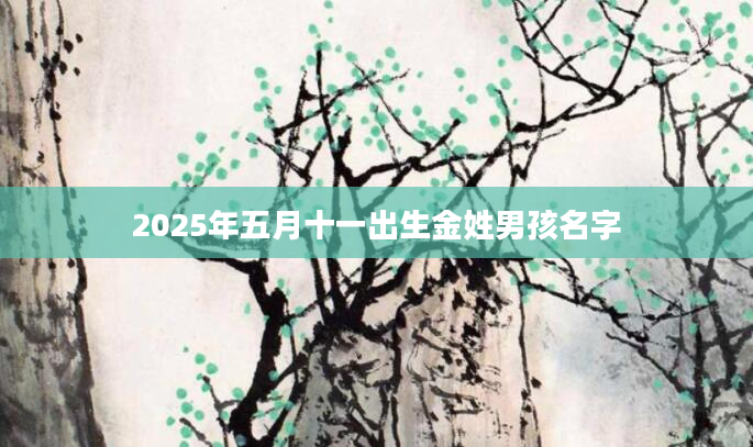 2025年五月十一出生金姓男孩名字