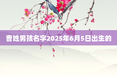 曹姓男孩名字2025年6月5日出生的
