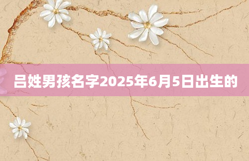 吕姓男孩名字2025年6月5日出生的